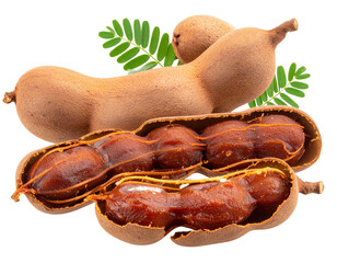 Opened Tamarind Pod with Sticky Brown Pulp and Seeds – PNG Cutout on Transparent Background.