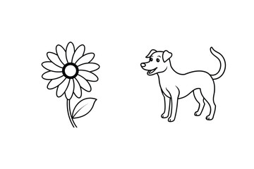 Daisy flower and happy dog plant bloom