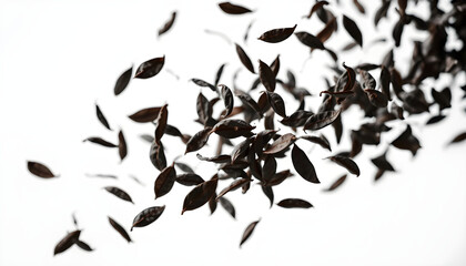 Falling leaves nature scene close-up photography minimalist background dynamic motion organic beauty