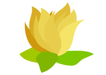 Abstract illustration of a flower
