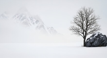 Obraz premium A solitary bare tree stands beside a large rock on a vast snowy plain with misty mountains in the background