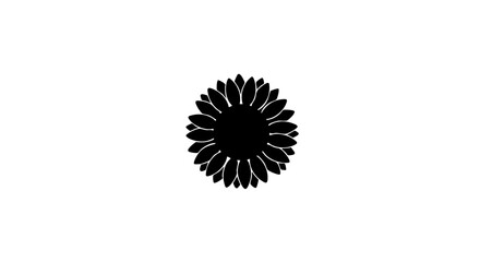 Fototapeta premium Silhouette of a sunflower blossom, isolated against a clear backdrop.