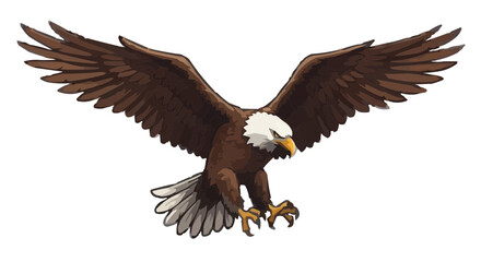 Obraz premium american bald eagle