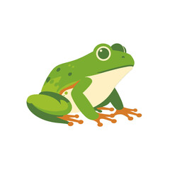Obraz premium Colorful Cartoon Frog Illustration