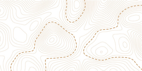 Topographic map pattern background vector. Abstract  line contour mountain terrain map background. Vintage outdoors style wallpaper.