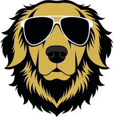 Obraz premium Cool golden retriever dog wearing stylish white framed aviator sunglasses with a fluffy mane