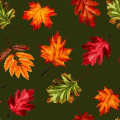 Autumn leaves on dark green, seamless pattern in watercolor style