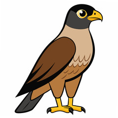 Fototapeta premium Cartoon Brown Hawk Bird Illustration Profile View Wildlife Animal Graphic