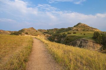 Naklejka premium View from Wind Canyon Trail in Theodore Roosevelt National Park at golden hour