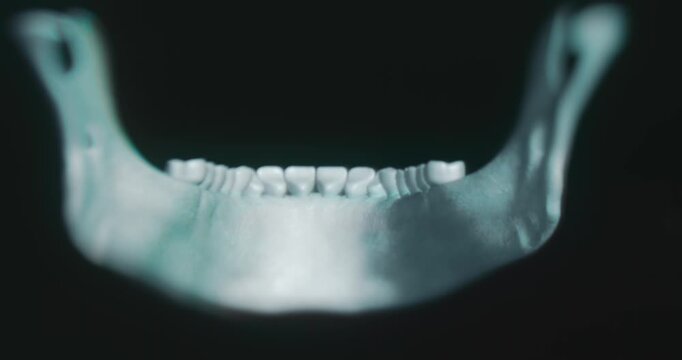 Studying the human jaw from different views in anatomy app