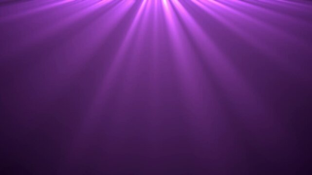 Ray Lights in purple background. Loop