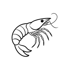 shrimp line art vector illustration on white back