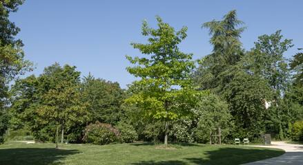 Parc paysager arboré