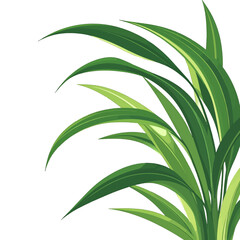 Fototapeta premium Detailed Green Leaves Illustration