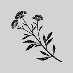 Monochrome Heart Fruit Line Art