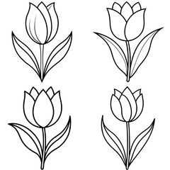 Pretty Tulip Flowers Icon – Outline Vector Illustration of Elegant Spring Blossoms