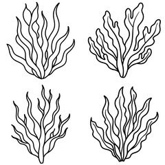 Seaweed Icon – Outline Vector Illustration of Ocean Plant Life