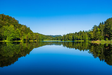 Reflection of forest on Trakoscan lake in Zagorje, Croatia, amazing nature landscape