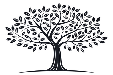 Obraz premium Black and white tree with symmetrical branches and leaves