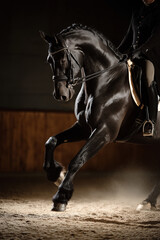 Elegant black horse in motion during indoor dressage show
