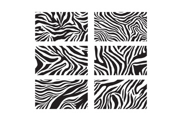 Six close up views of black and white zebra stripe patterns