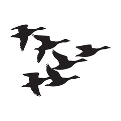 A flock of geese flying in formation against a white background demonstrating migration © Rinku