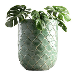 Green monstera leaves in a decorative pot, adding elegance and freshness to any indoor space.