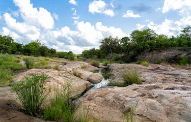 Landscape in Kruger National Park in South Africa in the green season