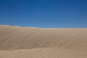 Untouched Dunes Under Blue Skies