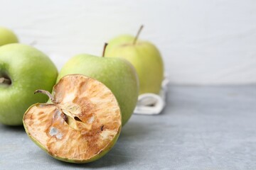 Spoiled apple and good ones on grey table, closeup. Space for text
