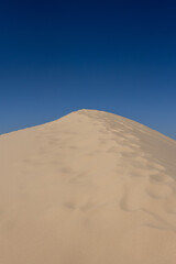 Trail to Oasis in Sandy Dune