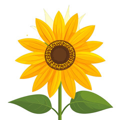 Bright Yellow Sunflower Illustration