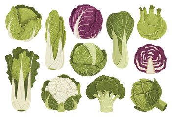 Assortment of fresh green and red leafy vegetables and cruciferous vegetables
