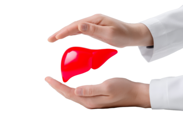 Medical action safeguarding liver health clinic setting digital visual laboratory environment close-up view health awareness