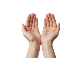 Two open hands palms up gesture offering or receiving isolated on transparent background