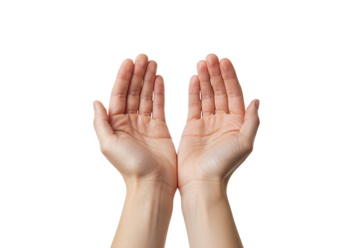Two open hands palms up gesture offering or receiving isolated on transparent background
