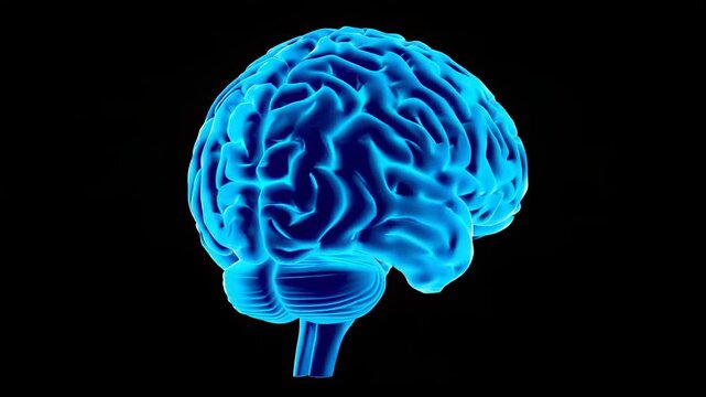 3D render of a human brain in blue on transparent background