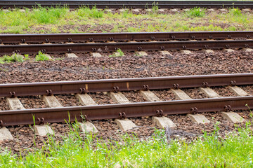 A detailed close up of a train track featuring grass growing on it