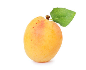 Fresh ripe apricot with green leaf isolated on white