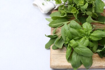 Different fresh green herbs on light table, closeup. Space for text