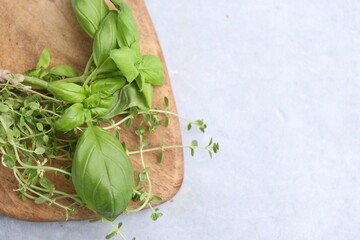 Different fresh green herbs on light grey table, top view. Space for text