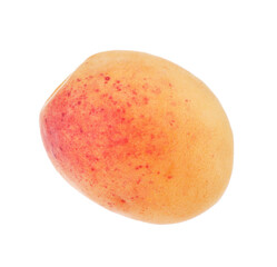 One fresh ripe apricot isolated on white