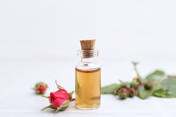 Bottle of essential oil and roses on white table, closeup