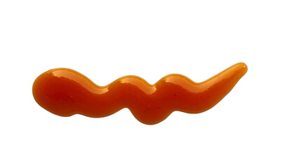 Ketchup PNG. Classic Tomato Condiment Element for Food Packaging, Culinary Recipes, and Snack-Themed Designs. Transparent Background.