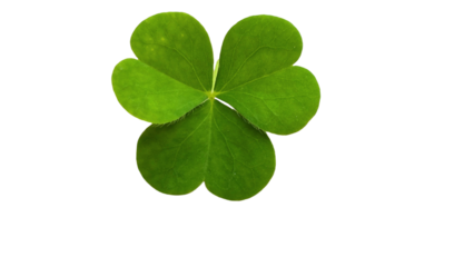 Four Leaf Clover PNG. Lucky Green Symbol for Happy St. Patrick’s Day, Irish Culture, and Festive Holiday Designs. Transparent Background.