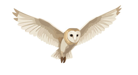 Obraz premium flying owl isolated on white