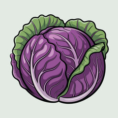 Obraz premium Vibrant red cabbage illustration with green outer leaves