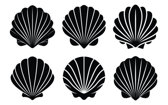 Six stylized scallop shell silhouettes; elegant, graphic design elements; nautical, ocean theme; vector format; perfect for branding.