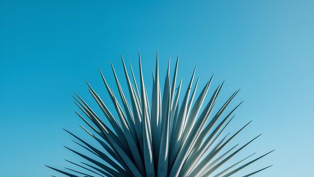a spiky plant with long, sharp leaves reaching towards a vibrant blue sky 