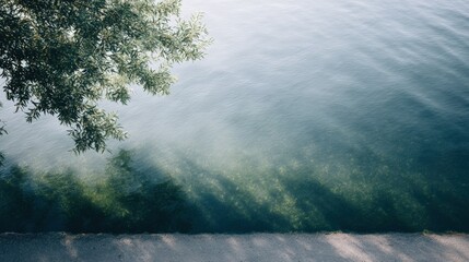 Tranquil water surface reflecting sunlight with gentle ripples and shadows from overhanging foliage, creating a serene natural environment
